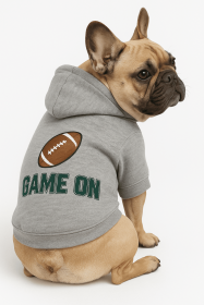 Game On Athletic Dog Hoodie (Color: gyay, Size: medium)