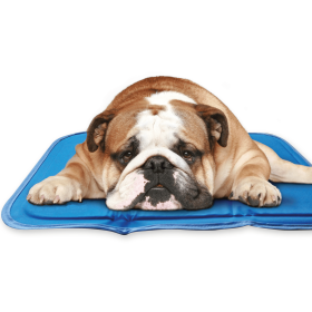 Cool Pet Pad (Color: Blue, Size: medium)