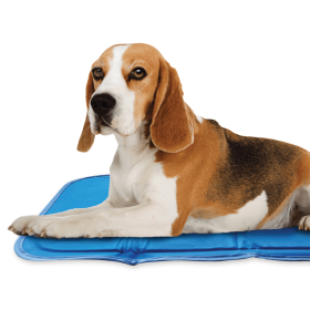 Cool Pet Pad (Color: Blue, Size: small)