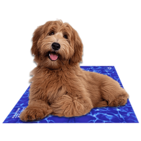 Chilz Gel Mat (Color: Blue Wave, Size: medium)