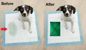 Hide A Pee Pee Spot Covers for Dog Pee Pads | 1 Paw Prints X Starter Kit
