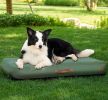 Outdoor Inflatable Dog Bed for Medium Dogs, Winter Outdoor Travel Dogs Met with Removeable Cover