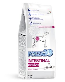 Active Dog Intestinal (Size: 22 Lb)